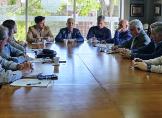 Desarrollo. Foro empresario. Diagraman las actividades de la Región Centro