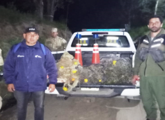 Áreas Naturales Protegidas. Llevan a cabo controles de caza y pesca