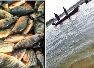 POLÉMICA EN LAS REDES. Muestran depredación del río en Concordia