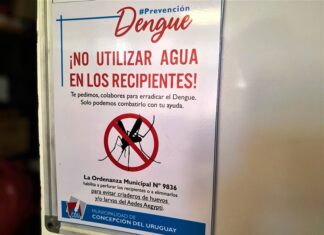 Se confirmaron dos casos más de dengue en Concepción