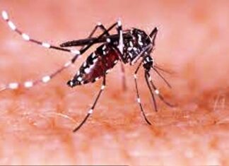 Desde salud. Confirmaron el segundo caso de dengue