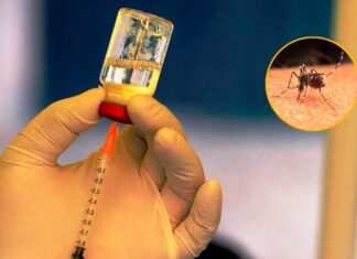 Contra el dengue. Aprobaron el uso de la vacuna