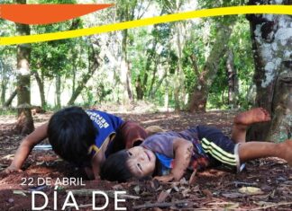 En el día mundial de la tierra. Se reflexionó sobre la necesidad de preservar la ‘casa común’