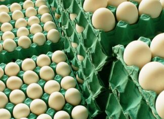 Se adecuaron los certificados de exportación