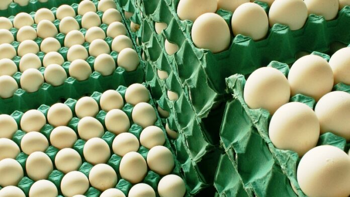 p5 productos aviarios - acuerdo con brasil1