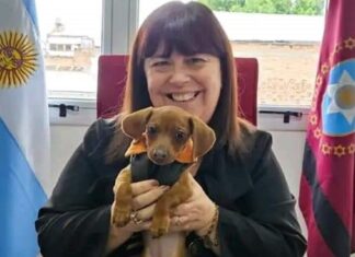 Medida innovadora en el Poder Judicial: Una perrita acompañará a niños y adolescentes en un Juzgado de Orán