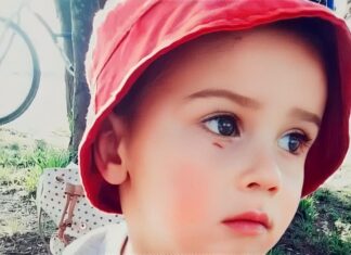 Catamarca adhiere a la Ley Lucio