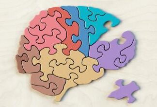 Yo digo… Neuromitos que persisten