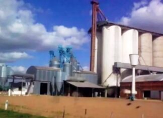 Obrero perdió un brazo. Sufrió graves heridas en un molino arrocero