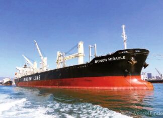 Adelanto exclusivo de La Calle. El Puerto exportará a la India rollizos de eucalipto