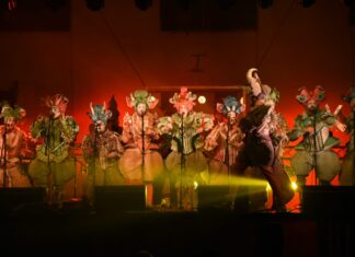 Llegará el Segundo Encuentro Entrerriano de Murgas en la Histórica