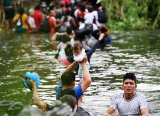 La foto del día