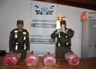 Gendarmería del escuadrón de Concepción secuestró más de diez mil gramos de cannabis sativa y detuvieron a un sujeto