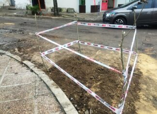 En el puerto viejo. Repararon la rotura de un caño de agua