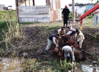 Rescataron un caballo caído en un desagüe