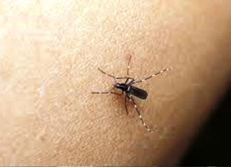 Se confirmaron otros dos casos de dengue en La Histórica