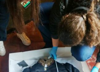 Se reconstruyó fotográficamente el rostro del general Urquiza