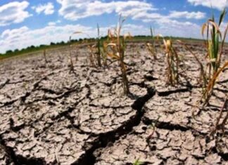 Efectos de la sequía. Descontento de la Mesa de Enlace de Entre Ríos