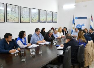 Reabren las paritarias hoy los gremios docentes y el Gobierno