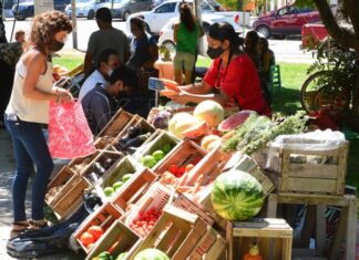 Yo digo… Inocuidad alimentaria: una responsabilidad compartida