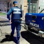 Pagina 6 Un nene de cuatro años falleció en un cumpleaños
