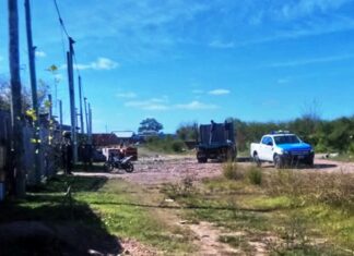 90 días de preventiva para un ladrón