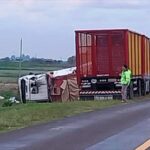 Pagina 7 Un vehículo volcó y desparramó su carga