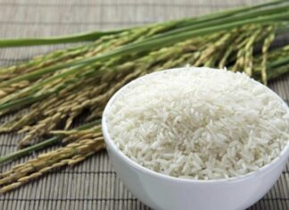 Cayó un 22% la producción de arroz en Entre Ríos