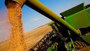 Poner fin a las “retenciones” al agro como parte del camino hacia la prosperidad