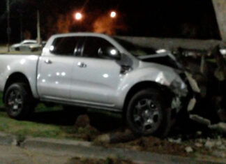 Sospechan que por picadas una camioneta se incrustó contra un árbol en Victoria