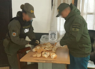 Intentó ingresar droga oculta en pan tipo miñón
