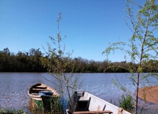 El Rojo, los tarros y el Jaime
