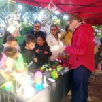 p16 desarrollo emprendedor1