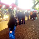 p16 feria3