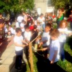 p16 jardines8