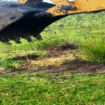 p2 – Crecen los controles por desmonte