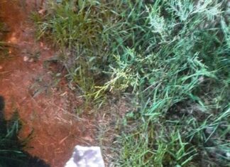 Ola polar. Otro amanecer con muy bajos registros y heladas