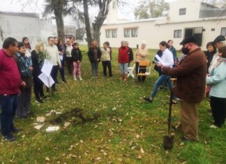 Plantaron un aguaribay en la capilla La Concepción