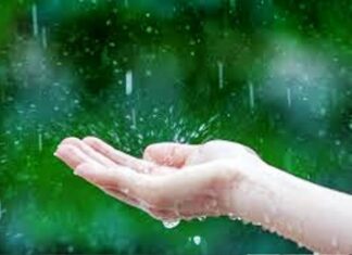 Casi toda Entre Ríos se encuentra bajo alerta por tormentas: ¿Qué pasará en CdelU?