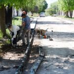 p4 pavimentación villa la lomas