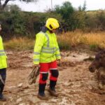 p4 rescate de caballo3