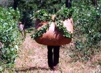 En el día mundial. Sensibilizaron para erradicar el trabajo infantil