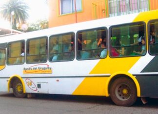 Los colectivos vuelven hoy a sus recorridos habituales