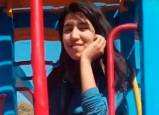 Falleció una chica de 15 años tras ser atacada por dos perros dogo en Córdoba