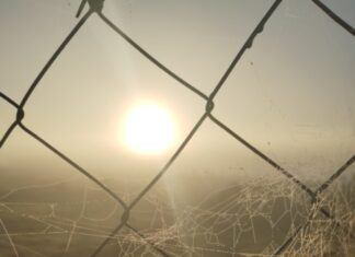 𝗘𝗹 𝗥𝘂𝗹𝗼 𝗲𝗻 𝗲𝗹 𝗮𝗹𝗮𝗺𝗯𝗿𝗲