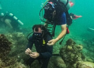 El aumento de la temperatura oceánica provoca la mortalidad de corales en Florida