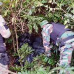 Pagina 6 Incautaron más de 188 kilos de marihuana