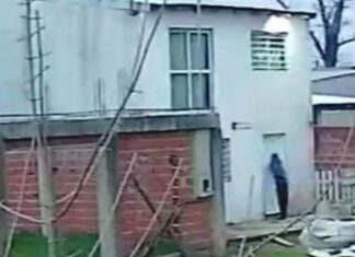 Ladrón captado por cámaras de seguridad