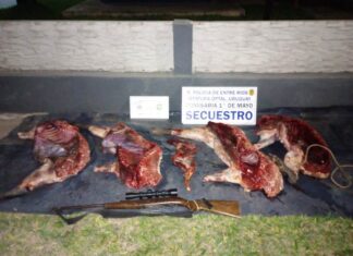 Operativo en zona rural. Secuestraron un arma y animales eviscerados