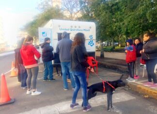 El Quirófano Móvil para la sanidad animal se ubicó en la plaza Ramírez